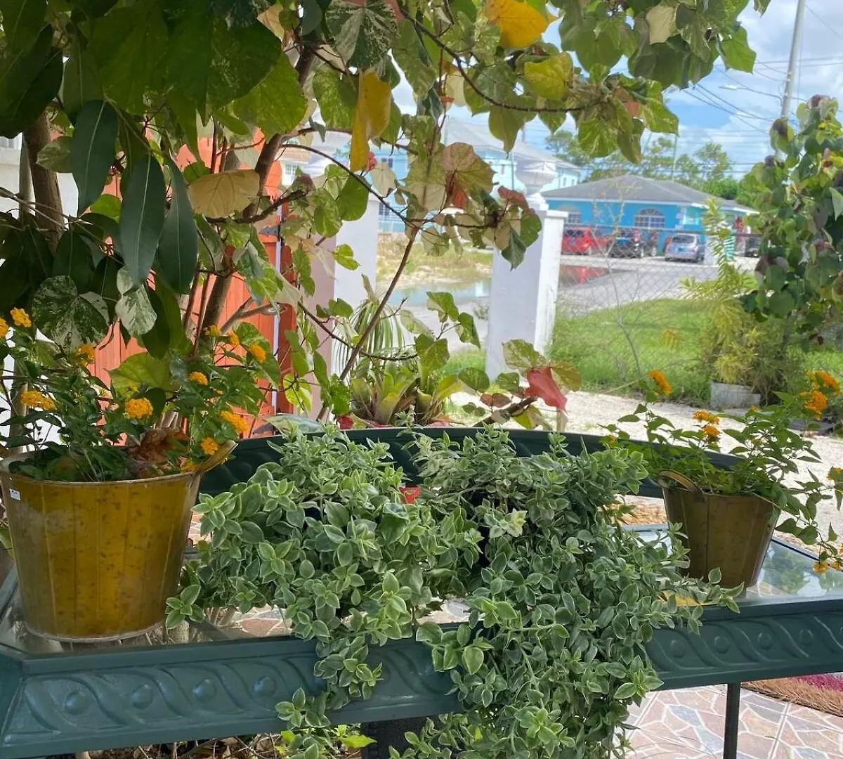 Island Vibes Point Of View- Near Beach & Airport Нассау Багамские острова